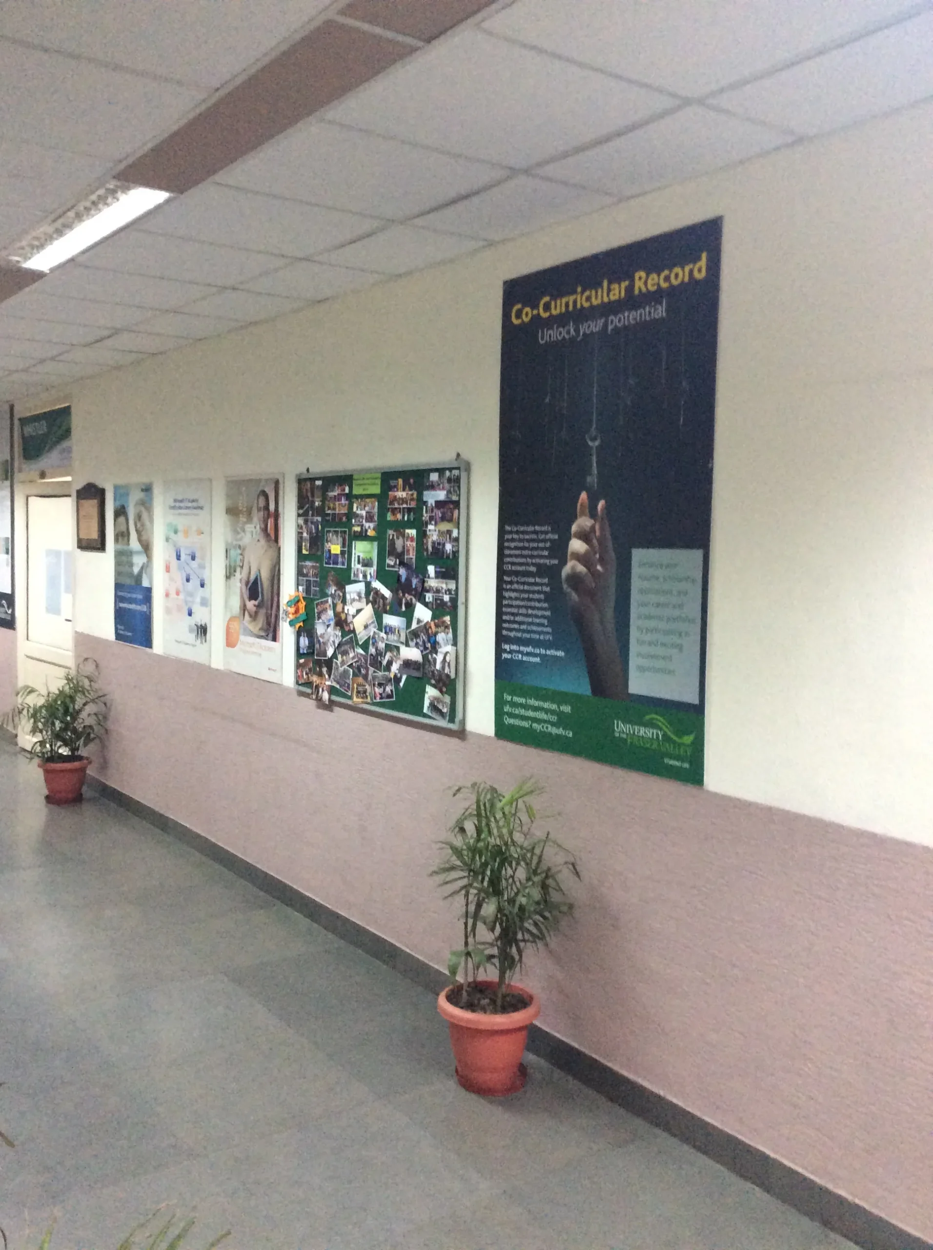 Frames-Of-Fraser_WIP-(1)-scaled